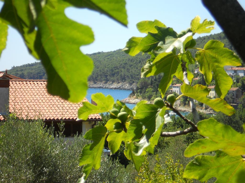 Apartments Ida Sveta Marina Drenje  Luaran gambar